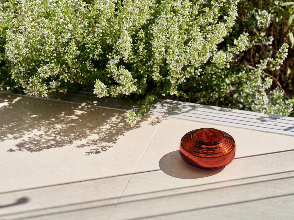 Somavedic-Amber-2024-