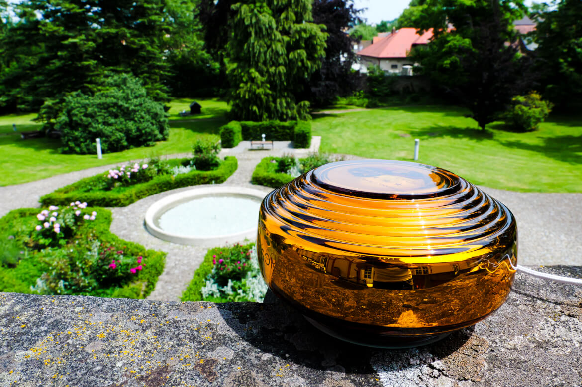 Somavedic – Natural Wellness for Your Body, Mind and Home