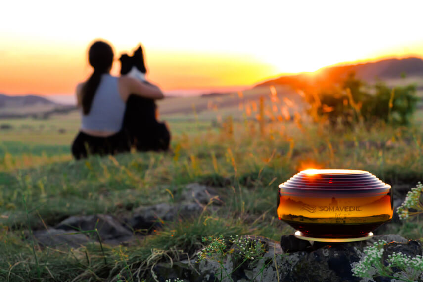 Health & Environmental Influences