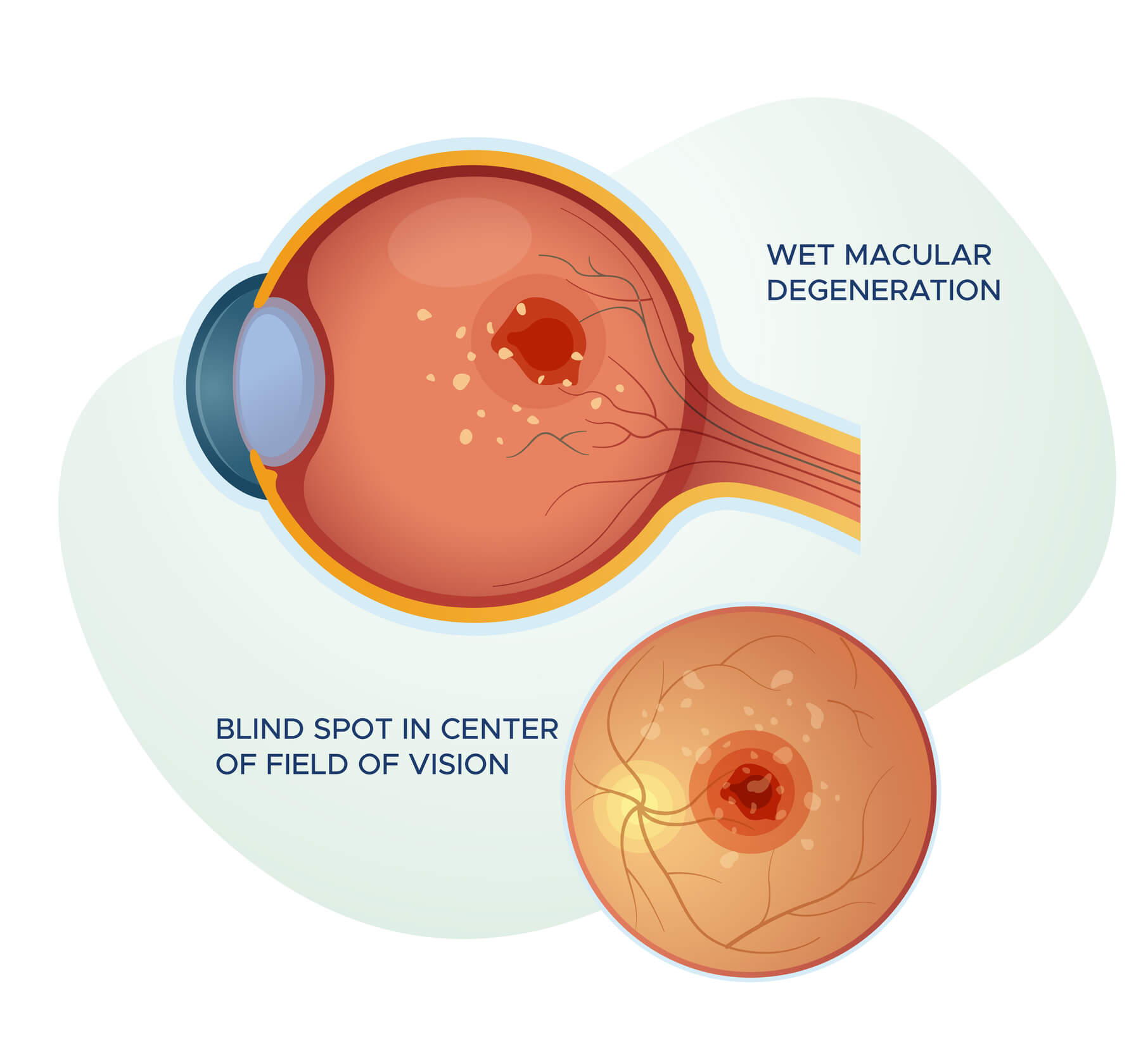 Proven positive effects